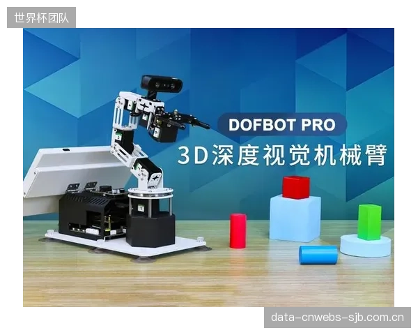 多数体育用品分拣中心仍在沿用安全围栏隔离3D视觉机械臂，这种“伪协作”模式造成了空间和流程效率的浪费
